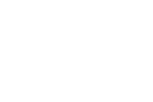 Baruthia Lothar Wolf GmbH Logo